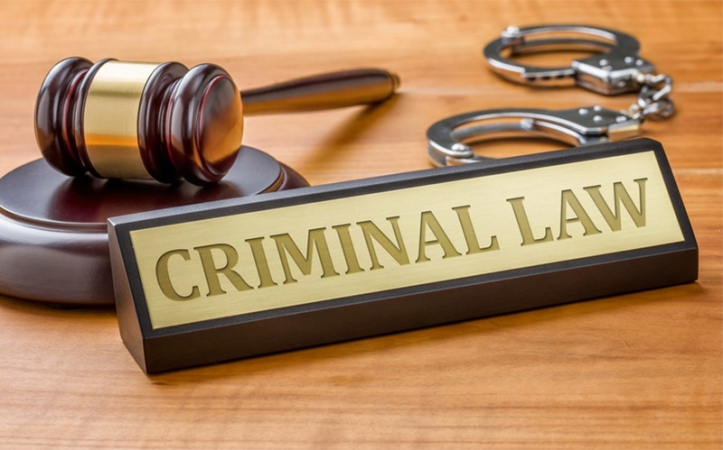 criminal-lawyer-in-delhi